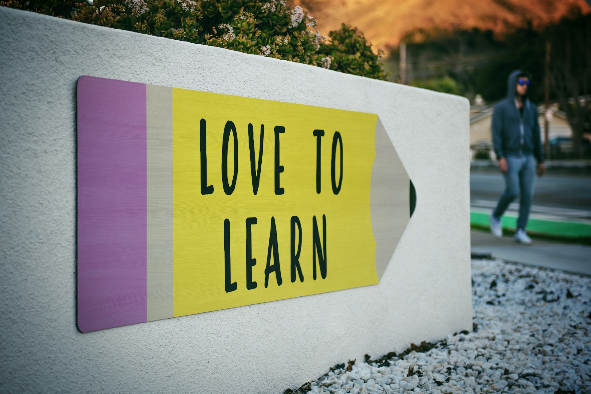 Love to Learn quote highlighting importance of learning