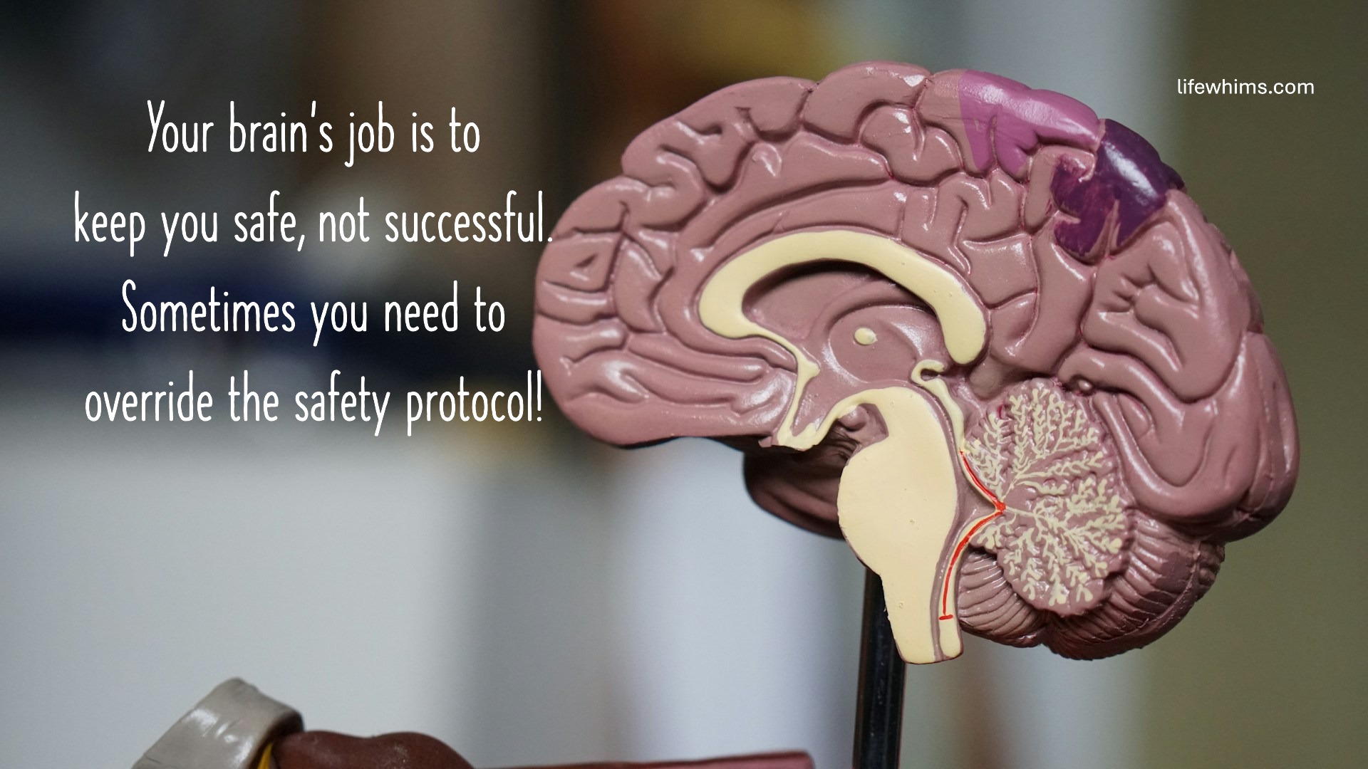 brown-brain-decor-in-selective-focus-photography