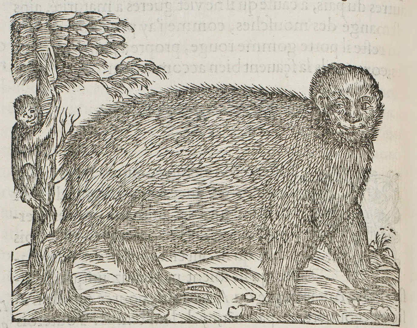 Medieval woodcut illustration symbolizing the vice of sloth with a bear-like creature and a human figure in allegorical style